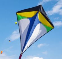 $6,500 Diamond (Kite Festival Presenting Sponsor)