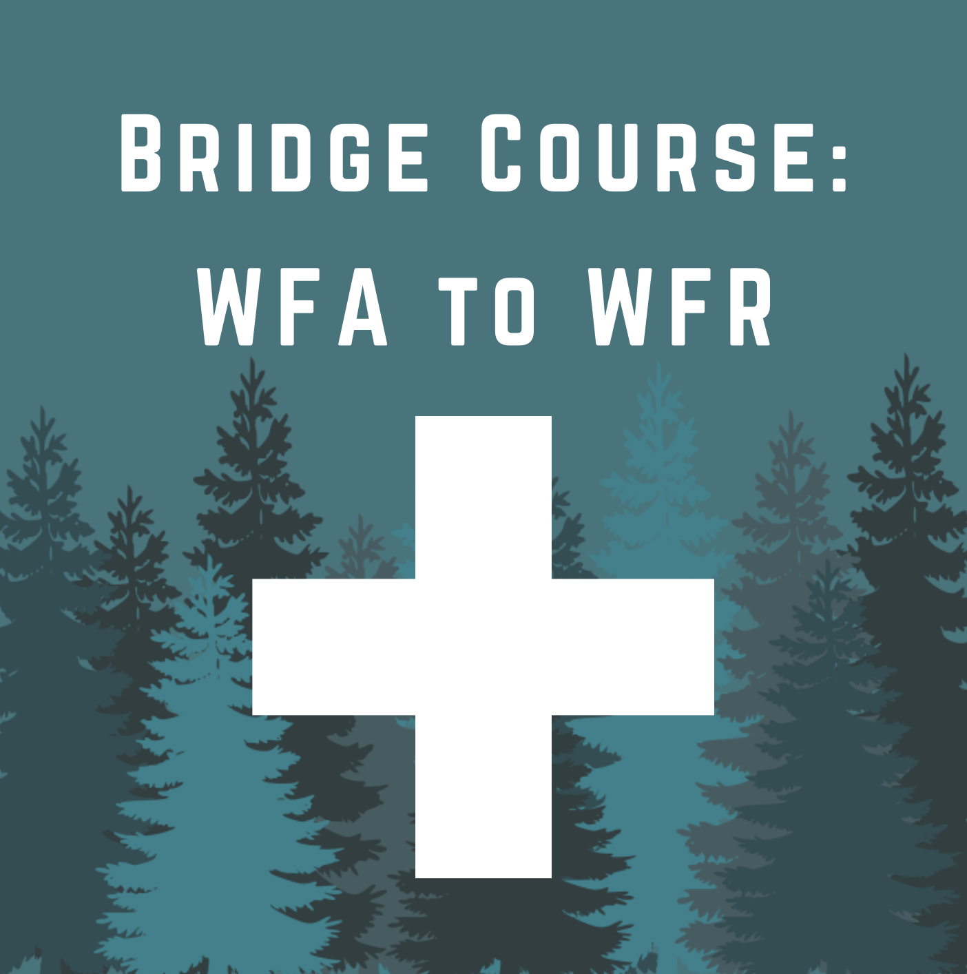 WFA-WFR Bridge Course: June 16-21, 2025