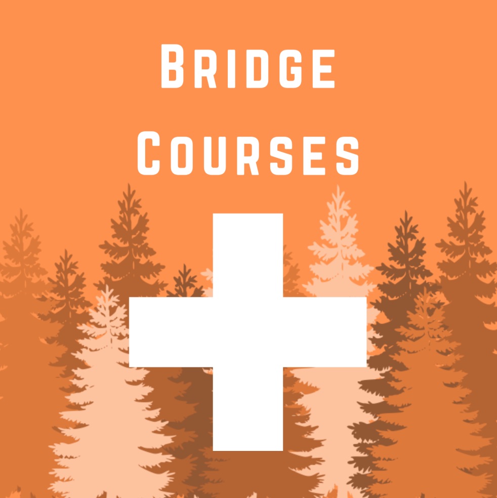 Bridge Courses