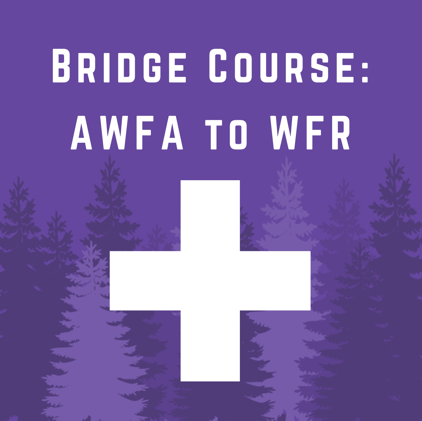 AWFA-WFR Bridge Course: June 19-21, 2025
