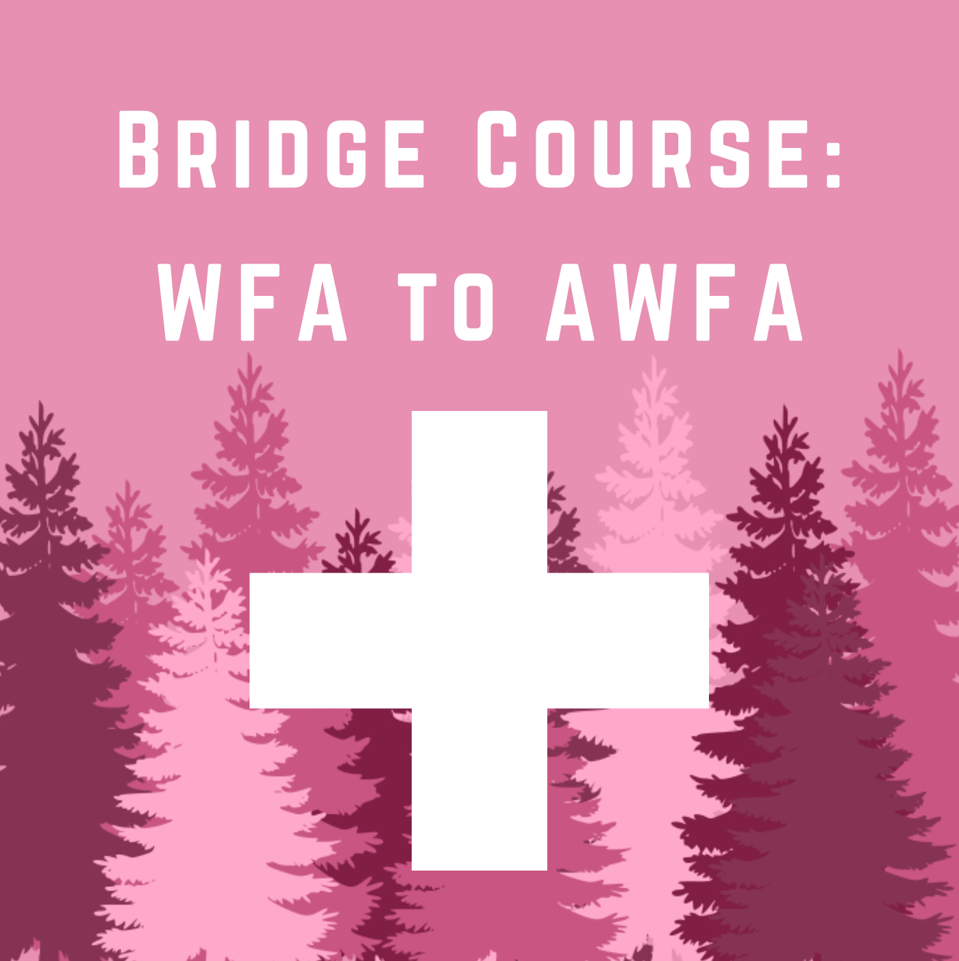 WFA-AWFA Bridge Course: June 16-18, 2025