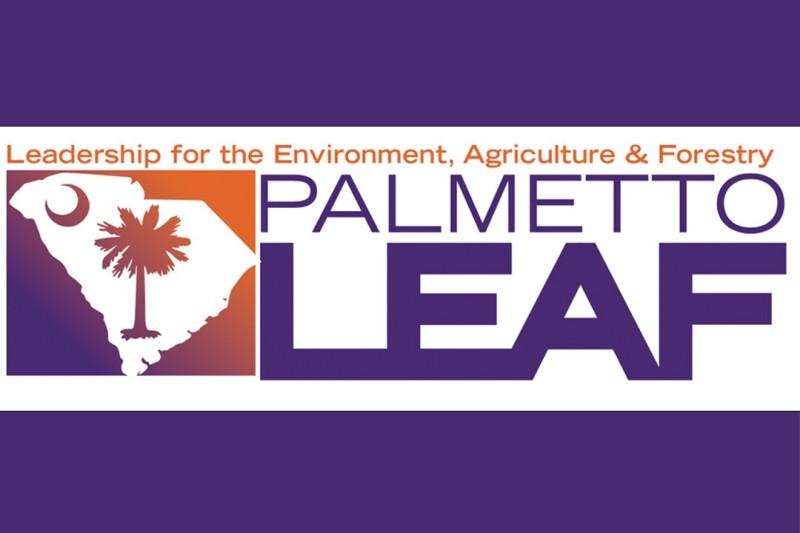 Palmetto LEAF Session 2026-27